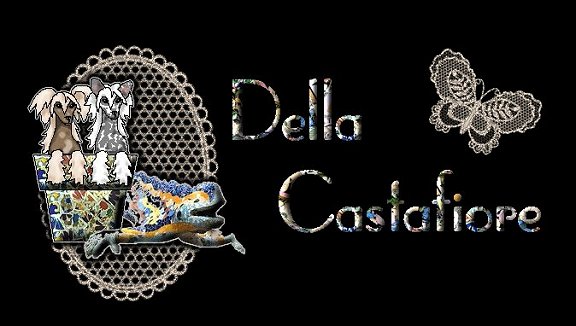 Della Castafiore kennel